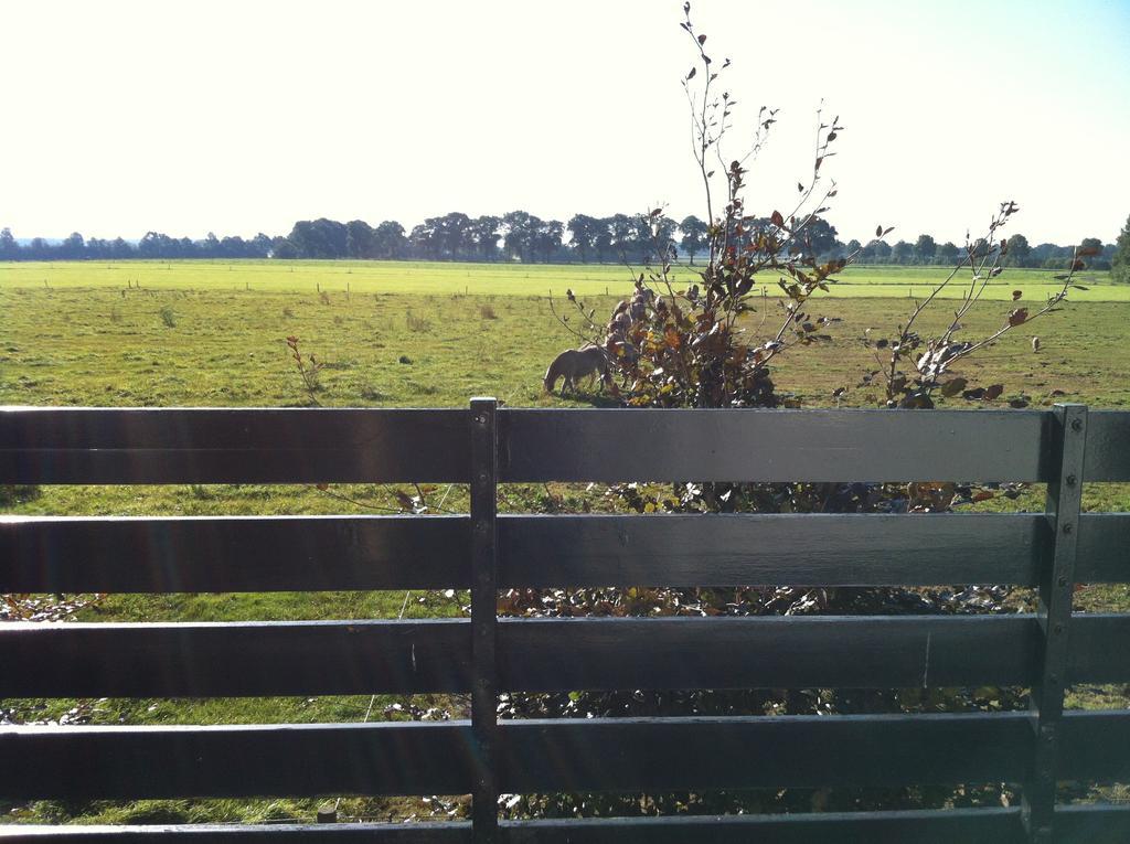 B&B Logement Grenzeloos Doldersum Ruang foto