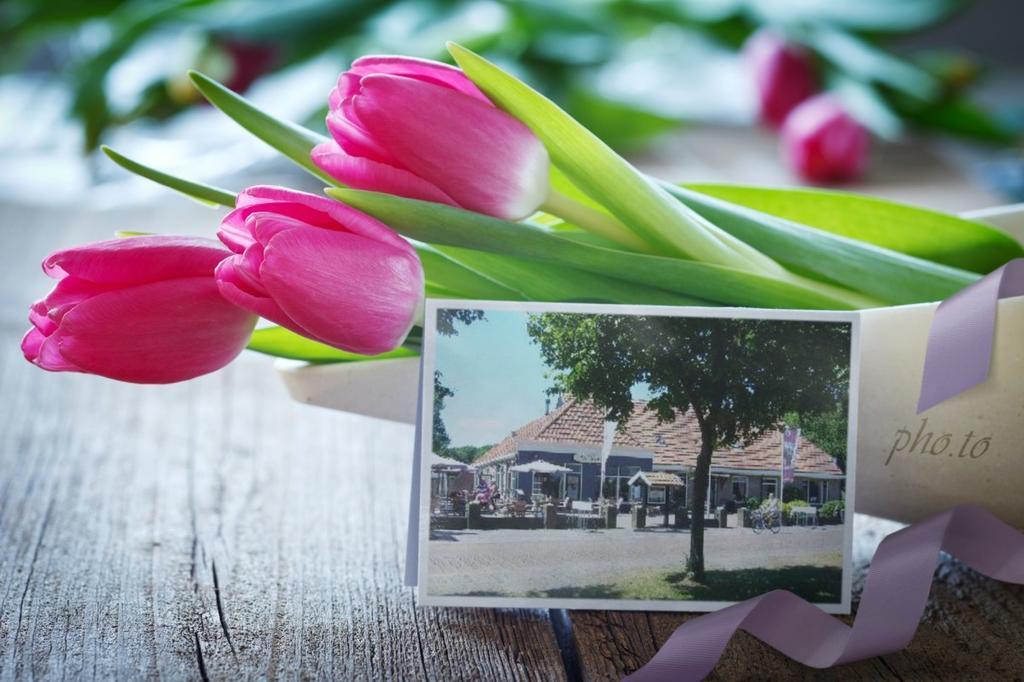 B&B Logement Grenzeloos Doldersum Bagian luar foto